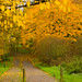 Katherine Way Photo 25