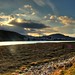 Andrew Conway Photo 44