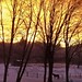 Brenda Giles Photo 9