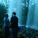 Virginia Brant Photo 8