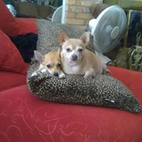 Barbara Rhoades Photo 27