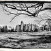 Andrew Olmsted Photo 27