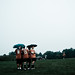 Christopher Eaton Photo 32
