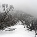 Dawn Mclaughlin Photo 34