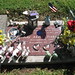 Dawn Schneider Photo 31