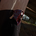 Javier Plaza Photo 15