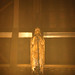 Alan Strachan Photo 17