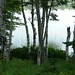 Wendy Cook Photo 39
