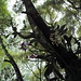 Janet Aitken Photo 21
