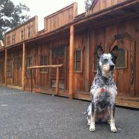 Mary Stocker Photo 10