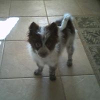 Ann Higginbotham Photo 9