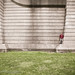 Danny Newman Photo 35