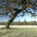 Adrian Singleton Photo 15
