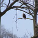 Catherine Eagles Photo 6