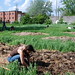 Melissa Miles Photo 34