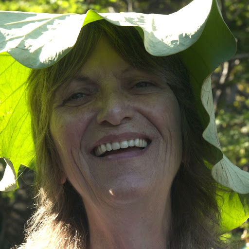 Diane Lewis Photo 42