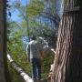 Tom Lowe Photo 3