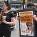 Jamie Procter Photo 15