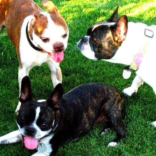 Vicki Capps Photo 11