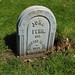 John Fehr Photo 39