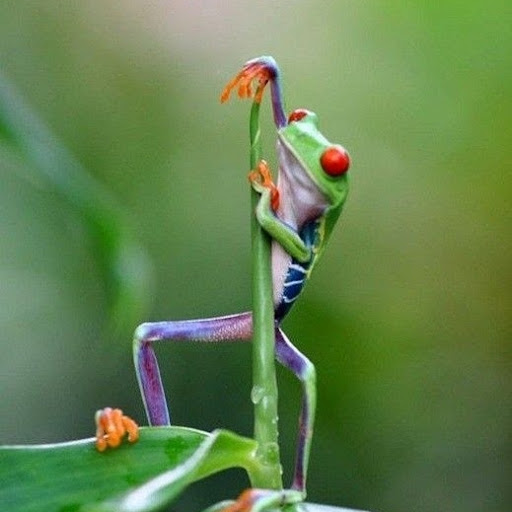 Bernhard Gruber Photo 17