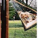 Sara Jewell Photo 5