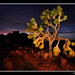 Joshua Neeley Photo 15