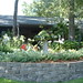 Kenneth Plant Photo 7