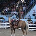 Jerry Mclain Photo 21