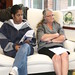 Alan Zuckerman Photo 15