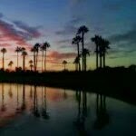 Sherrie Gray Photo 33