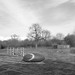 Kent Pilling Photo 9