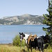 Terri Russell Photo 20