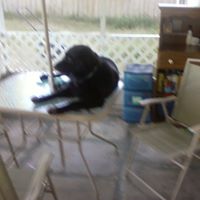 Anna Dotson Photo 15
