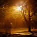 John Holcomb Photo 41