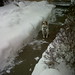 Debra Dayton Photo 9