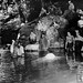 Harold Sanders Photo 19
