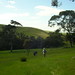 Frances Bullock Photo 24