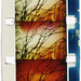 Christopher Beck Photo 21
