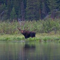 Charles Blackledge Photo 9