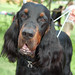 Cheryl Groves Photo 20