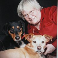 Susan Stock Photo 21
