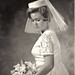 Linda Betts Photo 18