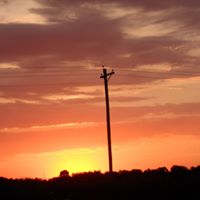 Nancy Harrel Photo 10