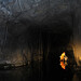 Russell Laird Photo 11