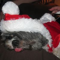 Cheri Skow Photo 4
