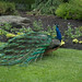 Kathryn Peacock Photo 21