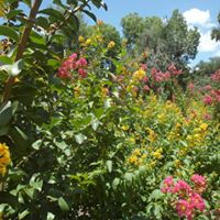 Jeanne Arnold Photo 24