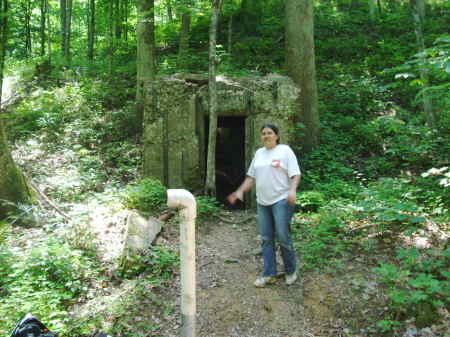 Gina Arnold Photo 18