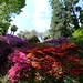 Camelia Ho Photo 9